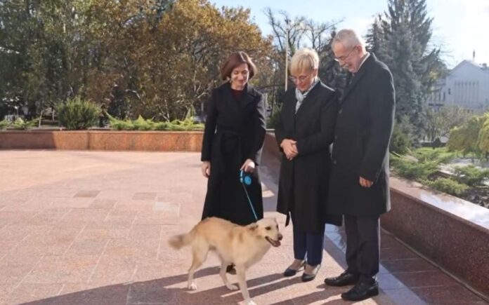 Мая Санду с президента на Австрия и съпругата му