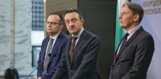 ПП-ДБ сезира Конституционния съд