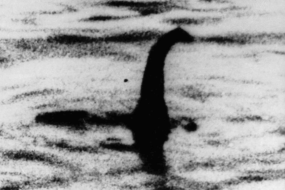 СподелиТърсенето на митичното и неуловимо засега чудовище от езерото Лох