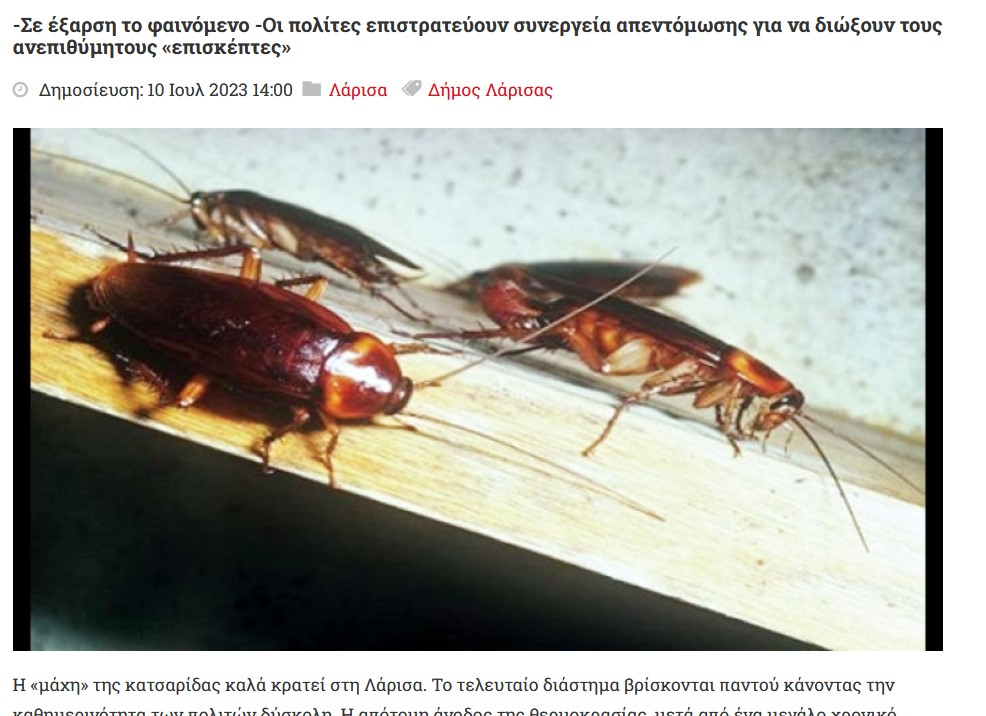 СподелиЗа нашествие от летящи хлебарки съобщават местните медии в град