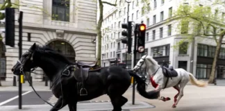 коне в Лондон