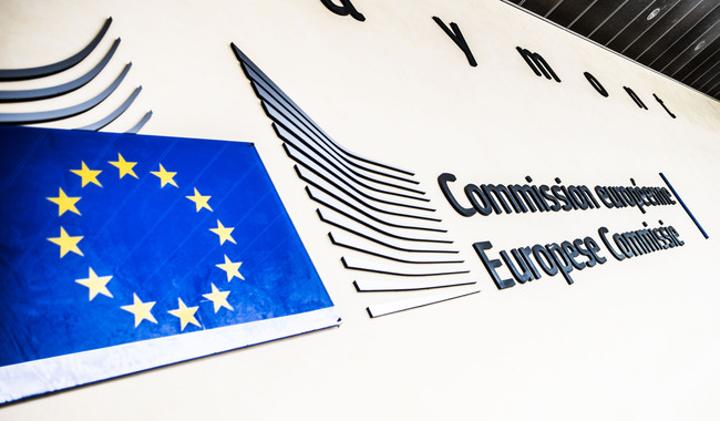 Европейска комисия (ЕК)
