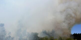 Пожар край Самоков