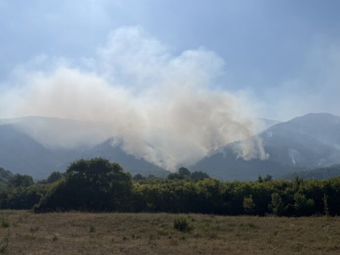 Пожар на ългаро-гръцката граница