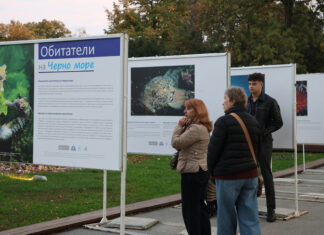 Изложба подводна фотография във Варна разказва за обитателите на Черно море и Световния океан