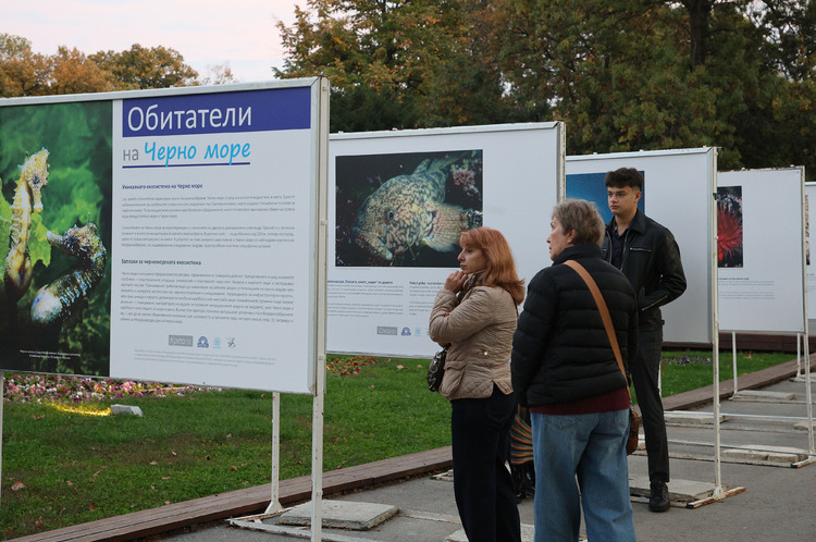 Изложба подводна фотография във Варна разказва за обитателите на Черно море и Световния океан