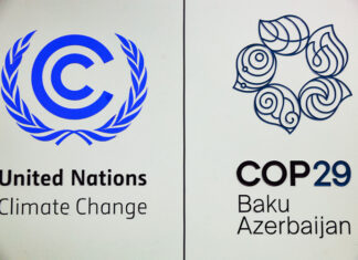 COP29 постигна напредък в разработването на глобалния пазар на въглеродни емисии