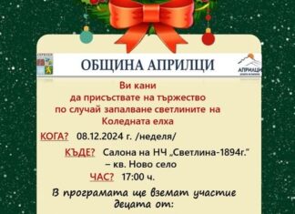 Коледната елха на Априлци ще грейне на 8 декември, от общината подготвят разнообразна празнична програма