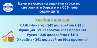 Минималните колебания на цените на зърнените стоки по световните борси продължават и тази седмица, по данни на ССБ