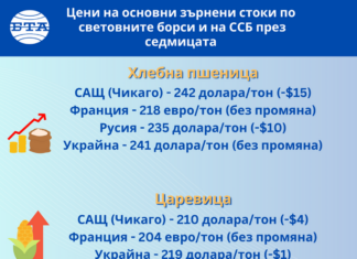 Минималните колебания на цените на зърнените стоки по световните борси продължават и тази седмица, по данни на ССБ