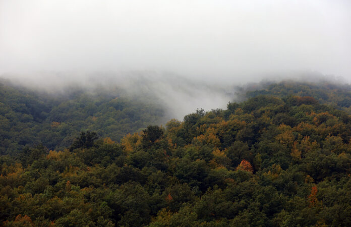 Прогноза за времето Прогноза за времето