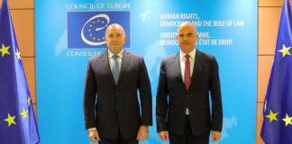 България цени партньорството си със Съвета на Европа в сфери като върховенството на правото и защитата на човешките права, заяви Румен Радев