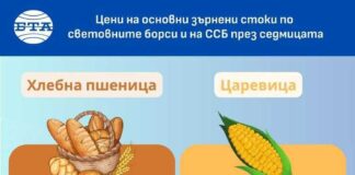 Цените на зърнените култури по световните борси се повишават през седмицата, отчитат експертите на Софийската стокова борса