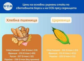 Цените на зърнените култури по световните борси се повишават през седмицата, отчитат експертите на Софийската стокова борса