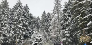 Добри са условията за туризъм в планините, съобщиха от Планинската спасителна служба на БЧК