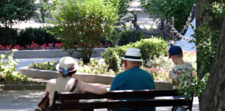 Една трета от работещите пенсионери работят, защото им харесва, сочат данни на НСИ