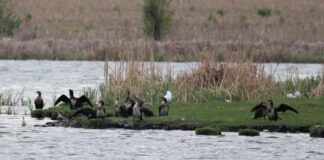 Не е установено повишаване на водните нива в десетте язовира на територията на Столичната община
