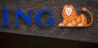 Нидерландските инвеститори проявяват засилен интерес към американските пазари, съобщи Ай Ен Джи