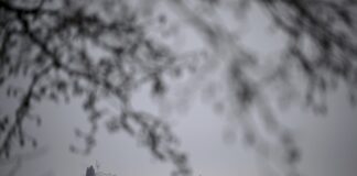 Норвежката полиция арестува руски екипаж на норвежки кораб по подозрение, че корабът е повредил оптичен кабел в Балтийско море