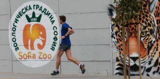 Нови цени на билетите в зоологическа градина в София, прие Столичният общински съвет