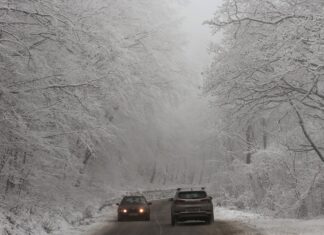 Пътищата към природен парк "Витоша" ще бъдат затворени тази нощ за почистване от снега