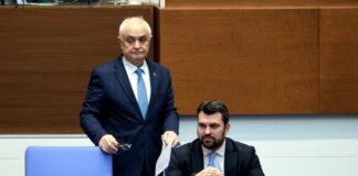 Атанас Запрянов и Георг Георгиев