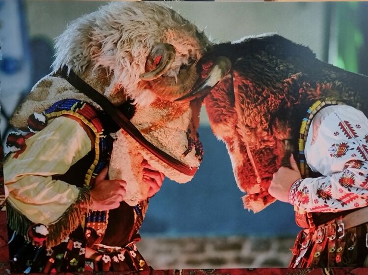 СподелиФотографската изложба Пазители на Тунджа демонстрира автентичността и разнообразието на