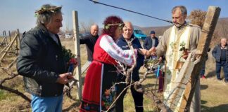 На Трифон Зарезан зарязаха лозите в старозагорското село Оряховица