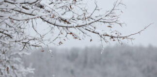 Не са добри условията за туризъм по планините, съобщиха от Планинската спасителна служба на БЧК