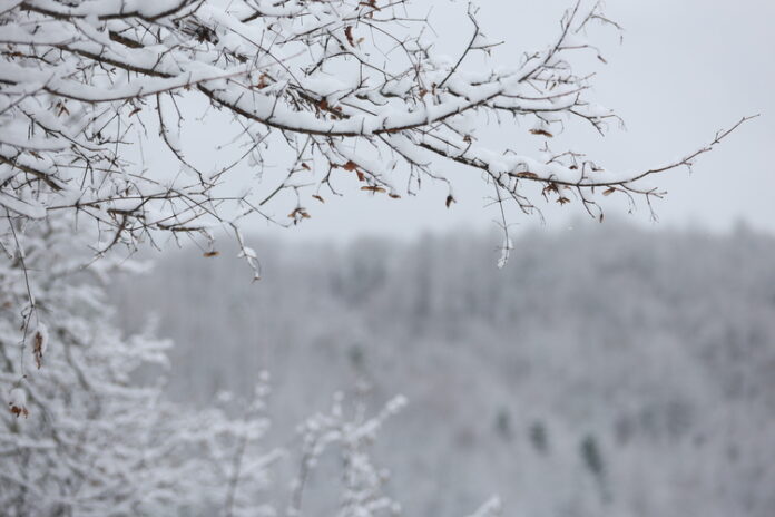 Не са добри условията за туризъм по планините, съобщиха от Не са добри условията за туризъм по планините, съобщиха от Планинската спасителна служба на БЧК