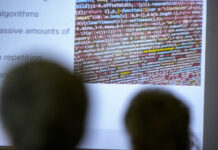 От супермаркетите до полицията: изкуственият интелект променя работните места в Нидерландия