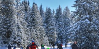 От утре в цялата страна няма да има ограничения, свързани с разпространението на грип