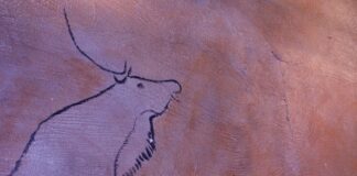 Пътуващата изложба "Ласко III" ще започне ново световно турне през лятото