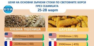 Цените на основните зърнени култури по световните борси се понижават в последната седмица на март, отчитат от ССБ