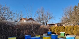 Голяма част от потребителите, консумиращи мед, все още избират продукта по цената, а не според качеството, каза пчеларката Сия Манолова