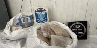 Немски гражданин, роден в Турция, е обвиняем за контрабанда на наркотици за над 4 млн. лева, разкрити на ГКПП "Капитан Андреево"