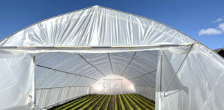 Нови технологии и иновации в оранжерийното производство ще бъдат представени в рамките на демо ден в център в Пловдив