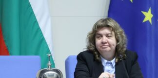 Положих усилия както за запазване на една от парламентарните групи, така и за формирането на нова, написа Наталия Киселова