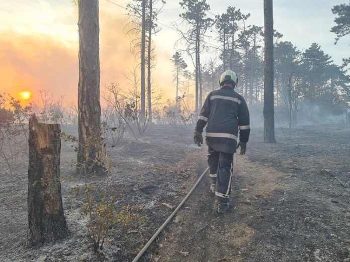 Пожар край Сатовча засегна около 70 дка борова гора, огънят вече е потушен