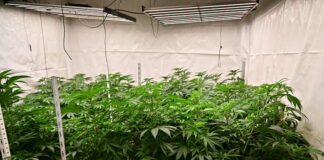 Расте броят на задържаните за престъпления, свързани с наркотични вещества, съобщиха от прокуратурата