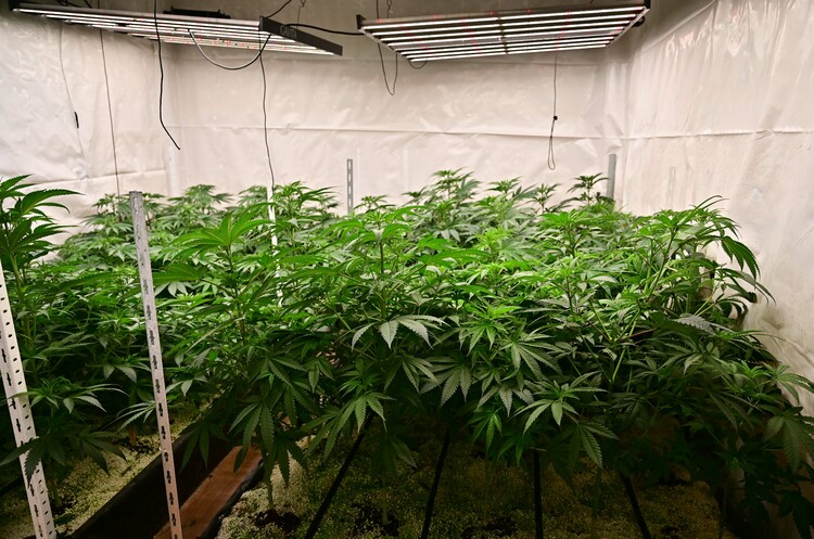 СподелиБроят на арестуваните за престъпления свързани с производството съхранението и