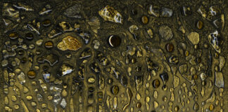 Ретроспективна изложба на Йорданка Илиева ще бъде представена в София