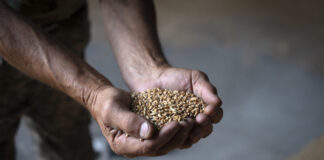 Русия и САЩ се очаква да обсъдят възобновяване на черноморската зърнена сделка, според Кремъл