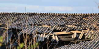 Студентката Стефания Алексова от Американския университет в Благоевград е сред жертвите от град Кочани