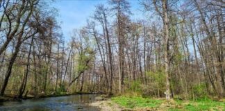 Световният ден на водата също се отбелязва днес 
                                                                                                По случай Часа на Земята тази вечер ще бъдат изгасени светлините на обществени сгради и по домовете