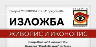 Трима плевенски художници ще представят обща изложба в галерия „Серякова къща“ в Троян