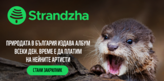 WWF възстановява един от последните запазени притоци на Дунав у нас