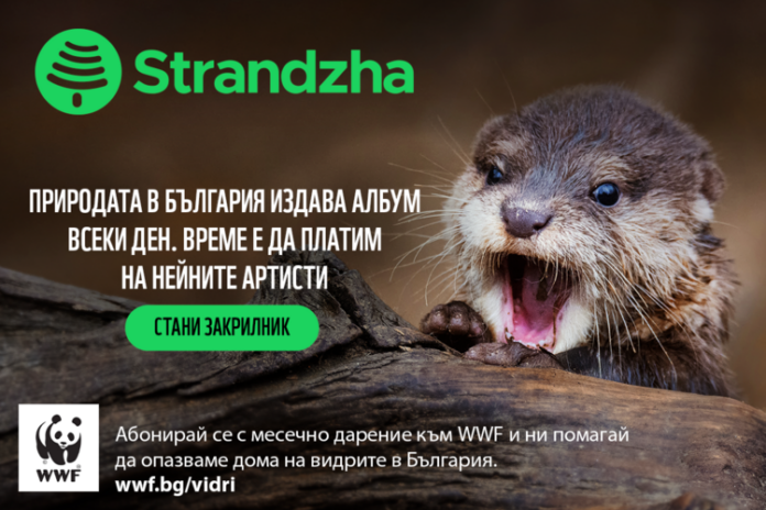 WWF възстановява един от последните запазени притоци на Дунав у нас