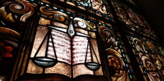 За периода 2019 - 2024 г. на съд за насилие срещу животни са предадени 318 души, съобщиха от прокуратурата