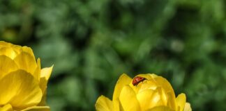 Времето през май ще ни изненада с температури от над 30 градуса Времето